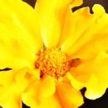 『徒然に光マイクロバブル(215)旧友からの便り(1)』の画像