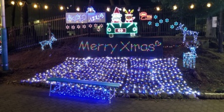 頭おかしい認定ニャ