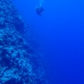 �鳤�������ӥ󥰡���ή����ˤ��ä����