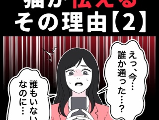 身近で起こった怖〜い話【猫が怯えるその理由・２】