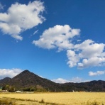 ブルーガーデンと花育て