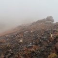近況と山登り　百名山⇒蔵王・伊吹山・阿蘇山・祖母山・久住山・伯耆大山