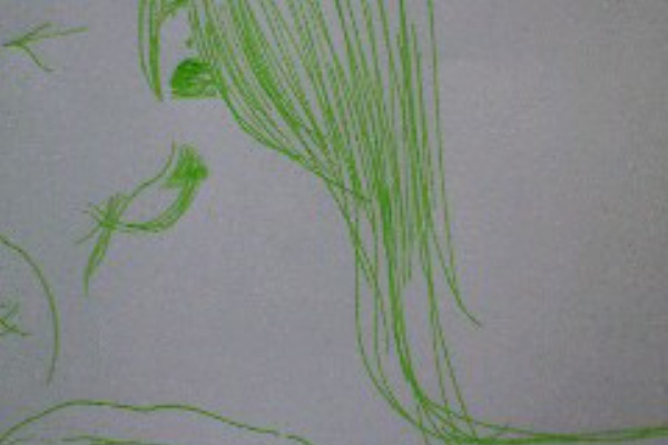 目黒ぶ 子 ﾚﾎﾟ ﾄ