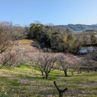 裏ブログ－URATAIDOU部