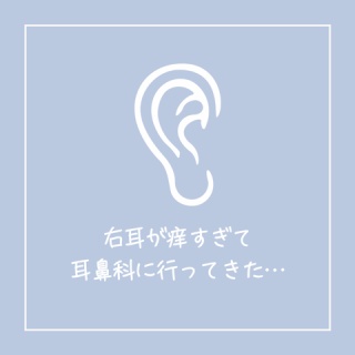 えりゐのＥｖｅＲｙ　ｄｉａＲｙ