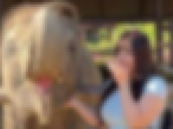 【悲報】動物園に行ったオシャレ女子、象より脚が太くて大炎上wwwwwwwwwwww