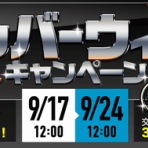 アラフォー独女がネットで月1万円を稼げるか？