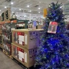 『ハロウィンとクリスマス。過ぐ世現つ世紡ぐ糸MM546』の画像