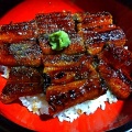 日本人はいつごろからうなぎを食べていたか？