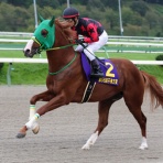 クロミちゃんの競馬日記