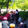 今回は、5/17(日)に「第59回〝福山ばら祭2026〟」行きのGONsanでした(^.-)☆(04)