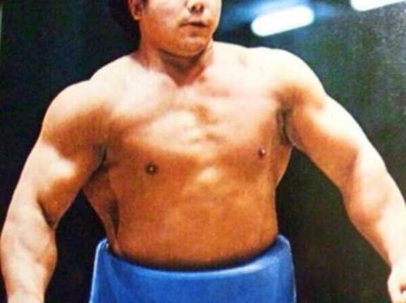 大相撲の力士って体重150kgとかあるけど、ボクシングや格闘技やっても普通に強いんじゃね？