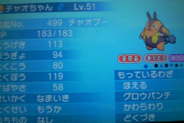 ポケモン考察第73回 きせきチャオブー Otachan S Pokemons