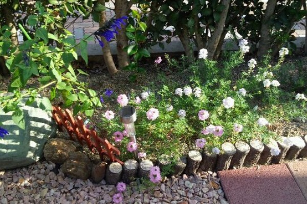 ガーデニング世話いらずな庭をめざして