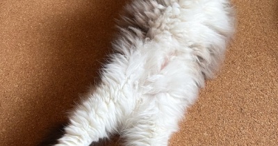 ２０２２年【６月】を振り返る