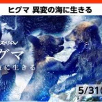 畠山明子のよくばりな毎日