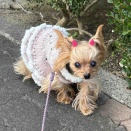 嬉しかったはなし