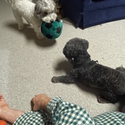 ���ˤʤäƺ��ä����Ȥˤʤä�