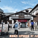 ラッキーの日記と、パパのカメブラ散歩