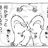 うちの犬のルカ。【５８】