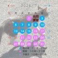 ７・８月 講習日程のお知らせ🌻