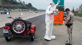 イースターバニーの恰好でバイクを運転していた男を逮捕…アメリカ