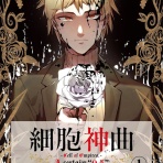 百花帖