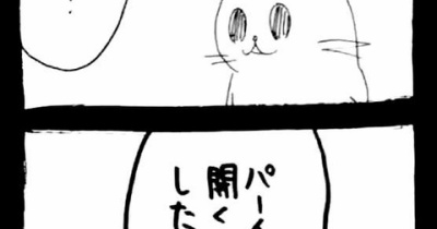 ドワーフキャットタオルちゃん79