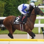 スライムの競馬ブログ