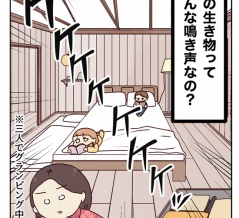 この生き物ってこんな鳴き声なの‥？