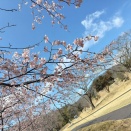 鈴木製綿所メルマガ９２６号