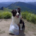 ひろいびと 清掃登山犬達と三重県の山ゴミ拾い清掃活動記録