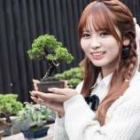 『[イコラブ] つなぐ旅 東日本〜 特別企画 大場花菜と巡るさいたま市の旅 第二回『清香園、盆栽レストラン大宮編』』の画像
