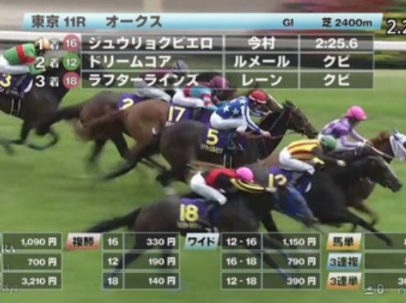 【悲報】ラフターラインズ左前脚を骨折　エリザベス女王杯を目標