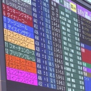 推し馬のゴコウコイコイちゃんが引退