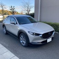 車　買い替え顛末（5）