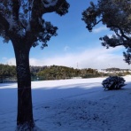 科学サークル大黒屋　その2