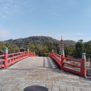 『源氏物語』の宇治十帖に登場する浮舟の芯の強さについて