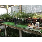 �������ޤ��Ƥ���ǤȤ��������ޤ��٤β���