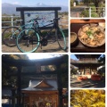 サイクリング第四弾