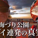 須磨浦づり公園マダイ連発釣果の真実