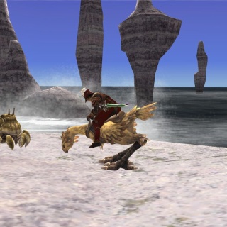 ヴァナ・ディールの生活