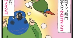 ペットショップ店員が選ぶ‼️香ばしい体臭のインコたち
