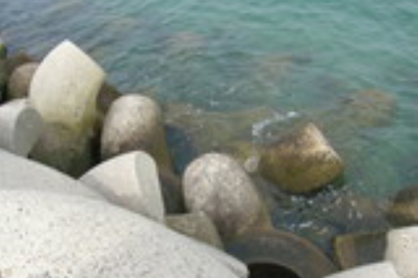 ｚｅｎさんの太鼓写真ブログ 新居浜市垣生海岸