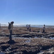 ハラスメントを受ける