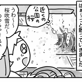 今年の桜は今年だけ