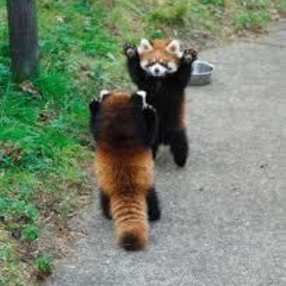 【艦これ】ウエ様実装はまだか・・・