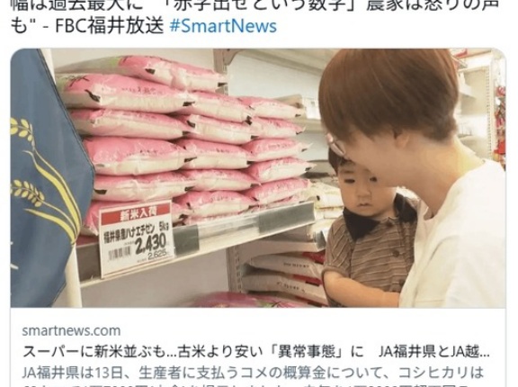 【悲報】米農家、激怒。JA買い取り価格が60kg17000円（去年29000円）。「赤字だ。やってられない」
