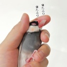 騙されたり騙されなかったり