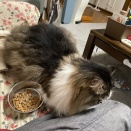 寄り添うテンちゃん